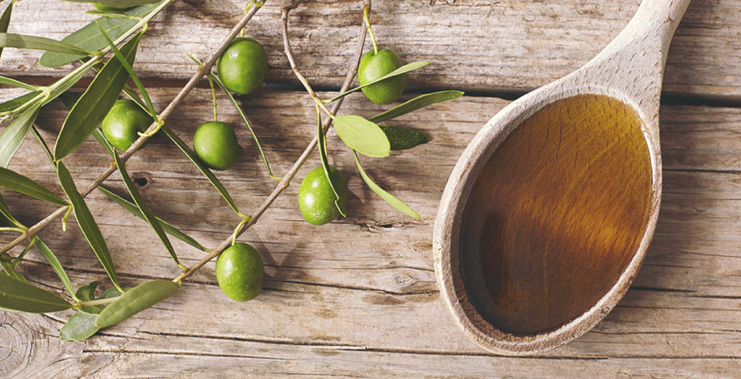 Olive Oil Is Best for Cooking